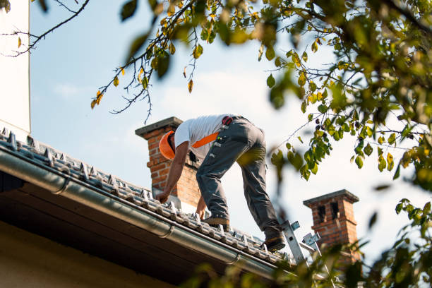 Best Flat Roof Repair Services  in Hutchinson, KS