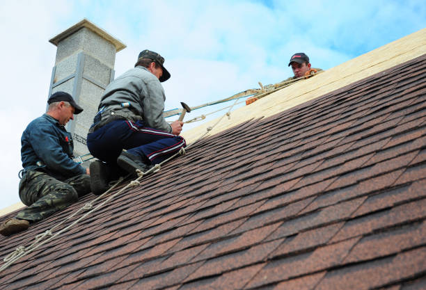 Roof Gutter Cleaning in Hutchinson, KS